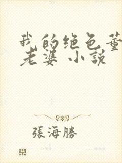 我的绝色董事长老婆 小说