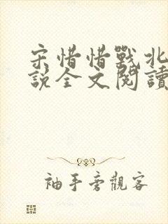 宋惜惜战北望小说全文阅读封面