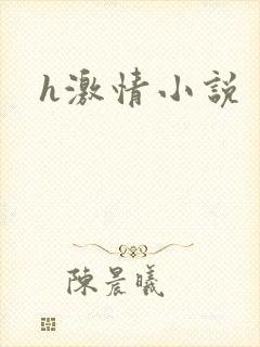 h激情小说