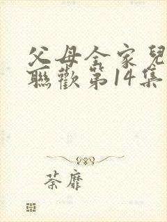 父母全家儿女大联欢第14集