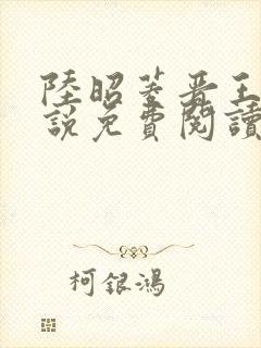 陆昭菱晋王的小说免费阅读