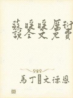 苏暖暖厉衍琛小说全文免费阅读