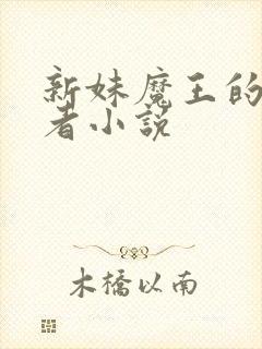 新妹魔王的契约者小说