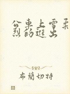 公车上雪柔被猛烈的进出