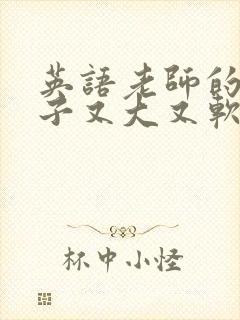 英语老师的小兔子又大又软