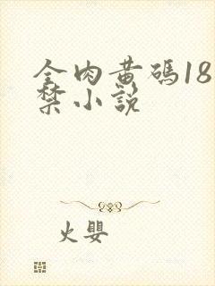 全肉黄码18无禁小说