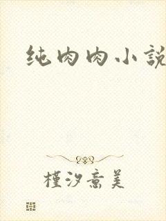 纯肉肉小说