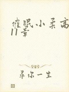 催眠小柔高达第11章