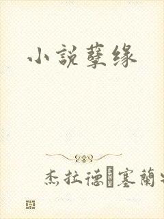 小说孽缘