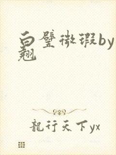 白璧微瑕by连翘