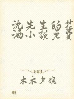 沈先生的花式调酒小说免费阅读