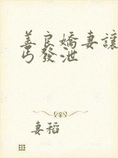 善良娇妻让老乞丐发泄封面