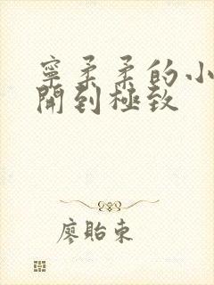 宁柔柔的小泬撑开到极致