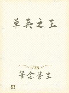 单兵之王