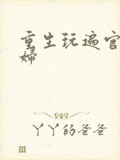 重生玩遍官场贵妇