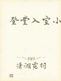 登堂入室小说