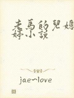 老马的儿媳顾婉婷小说