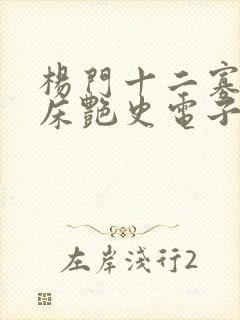 杨门十二寡妇肉床艳史电子书