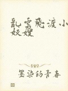 乱云飞渡小说之姣嫂