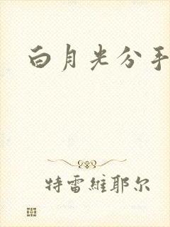 白月光分手日常