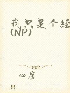 我只是个经纪人(NP)