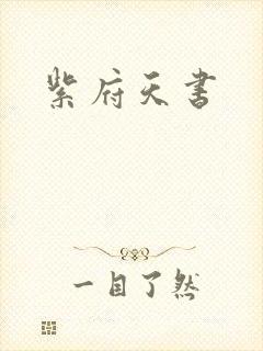 紫府天书