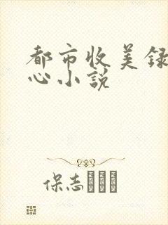 都市收美录宁素心小说