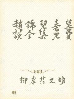 赵锦儿秦慕修小说全集免费