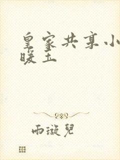 皇家共享小公主暖玉