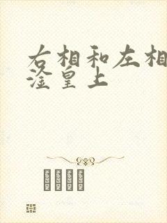 右相和左相一起淦皇上