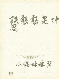 铁憨憨是什么意思封面