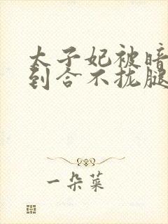 太子妃被暗卫C到合不拢腿