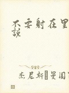 不要射在里面小说