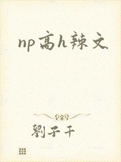 np高h辣文