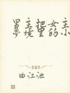 男主把女主拖进梦境里的小说