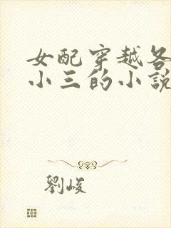 女配穿越各个做小三的小说