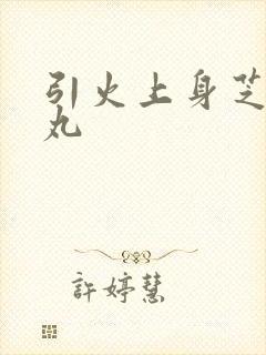 引火上身芝麻糖丸