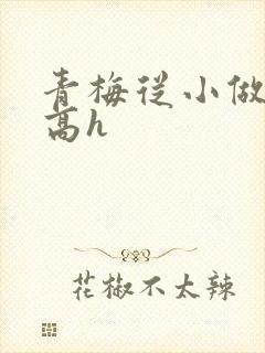 青梅从小做到大高h