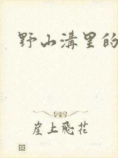 野山沟里的村庄