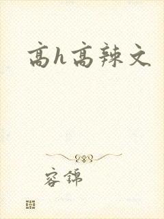 高h高辣文