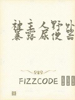 被主人野外调教暴露尿便器