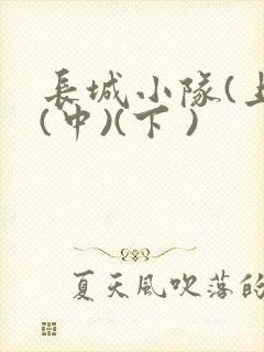 长城小队(上)(中)(下 )