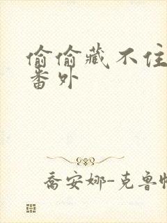 偷偷藏不住新婚番外