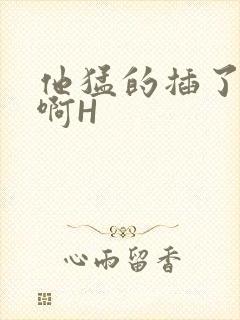 他猛的插了进去啊H