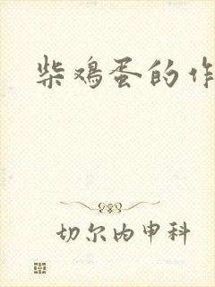 柴鸡蛋的作品