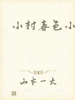 小村春色小说