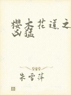 樱木花道之重生凶猛