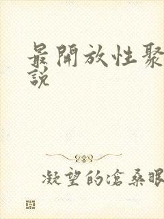 最开放性聚会小说