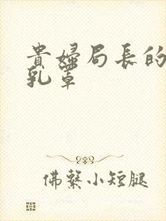 贵妇局长的蕾丝乳罩