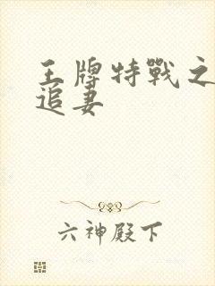 王牌特战之军少追妻封面